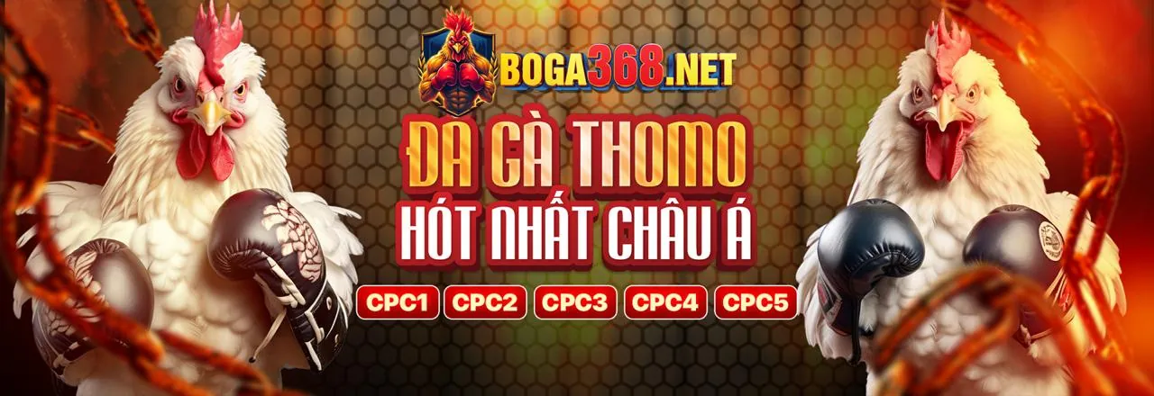 Đá gà trực tuyến vn88vc - Trận đấu kịch tính